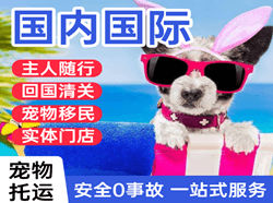 敦煌机场快递国际宠物托运 【国